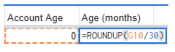The Account Age and Age (months) data ranges and the formula.