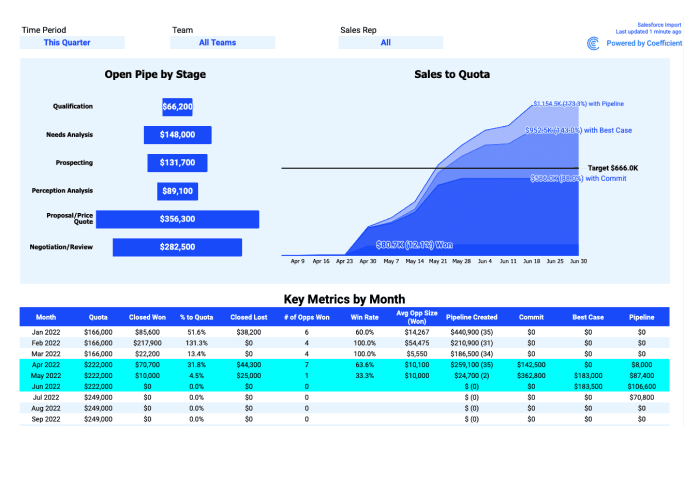 salesforce report template