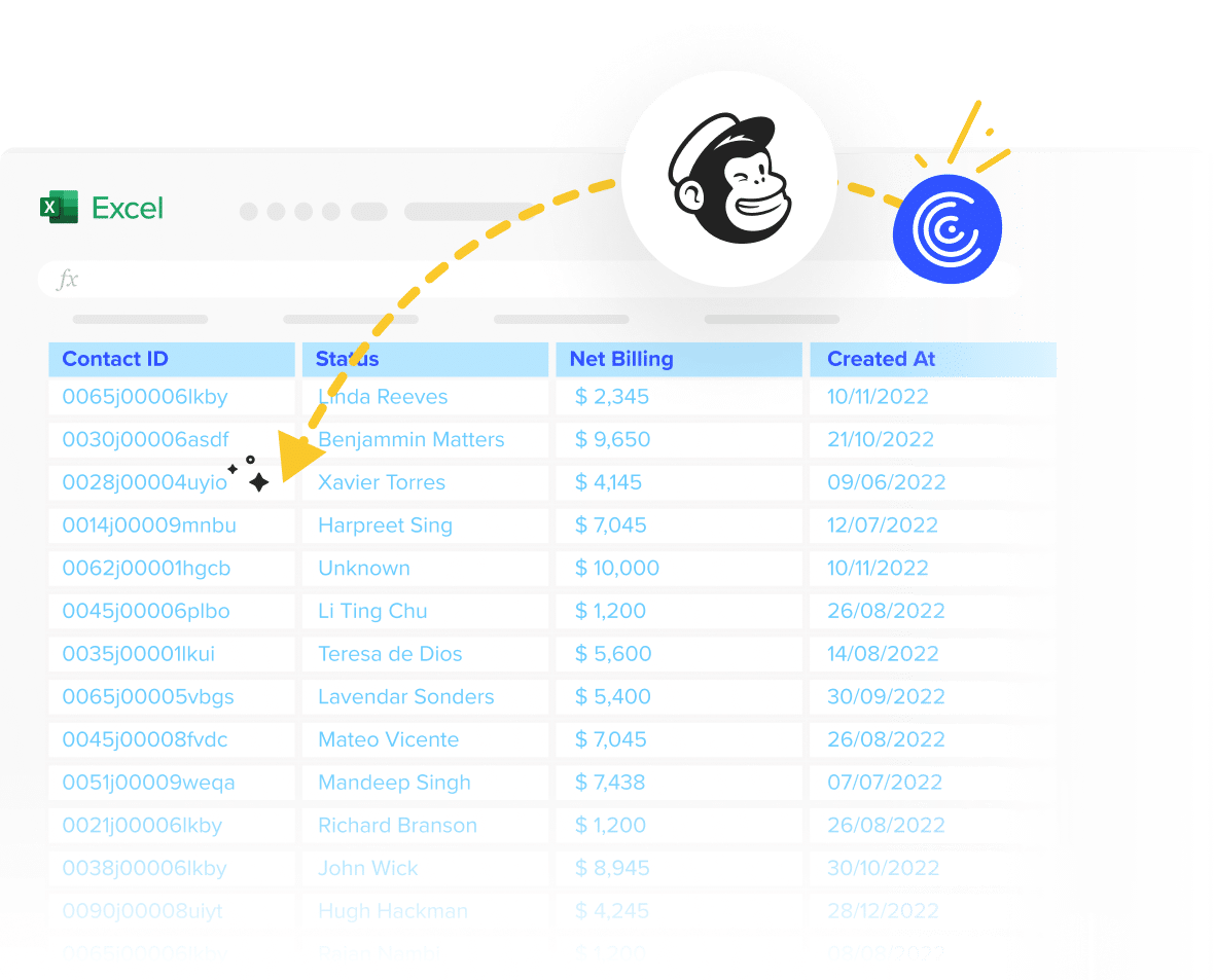 Mailchimp to Excel Integration