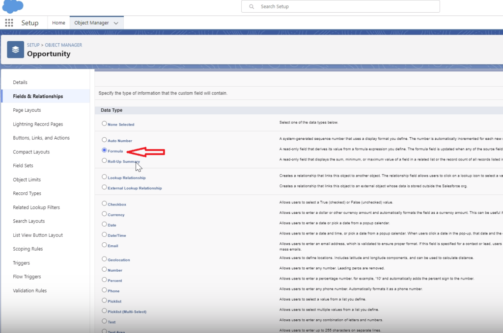 Selecting 'Formula' as the field type from the list of options in Salesforce.