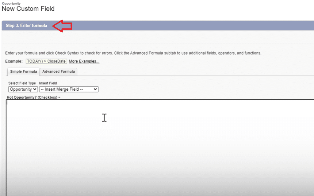Defining properties of the formula field including its name and return type in Salesforce.