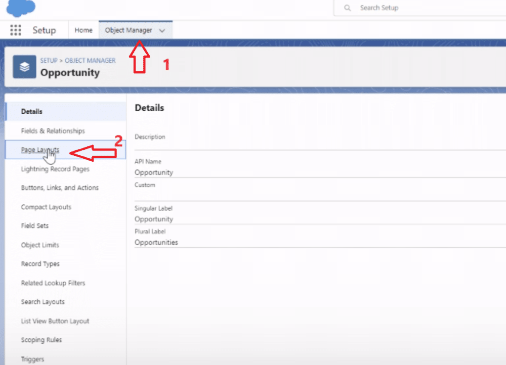 Within the Object Manager for a selected object, navigating to 'Page Layouts' to choose a specific layout for editing.