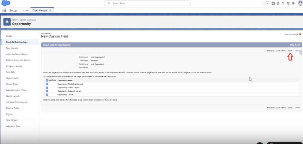 Saving the new formula field in Salesforce by clicking 'Next' and then 'Save'.