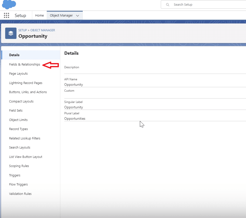Selecting 'Fields & Relationships' within a chosen object like 'Account' or 'Contact' in Salesforce.