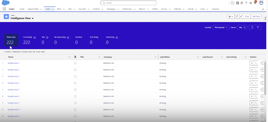 Viewing Newly Imported Leads in Salesforce