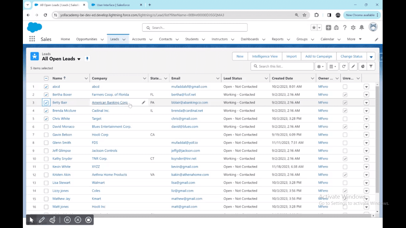 Selecting records for mass update in Salesforce, with options for individual or all-at-once selection