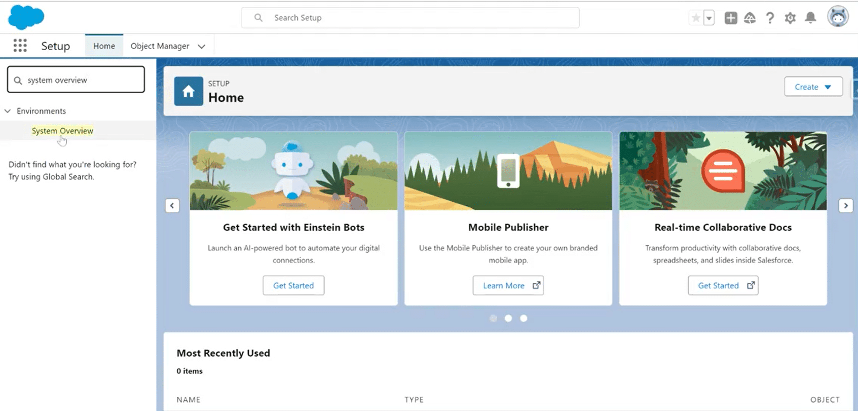 Accessing System Overview in Salesforce for API usage insights