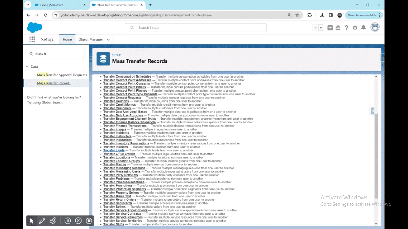 Image demonstrating how to set user permissions for record modification and transfer in Salesforce