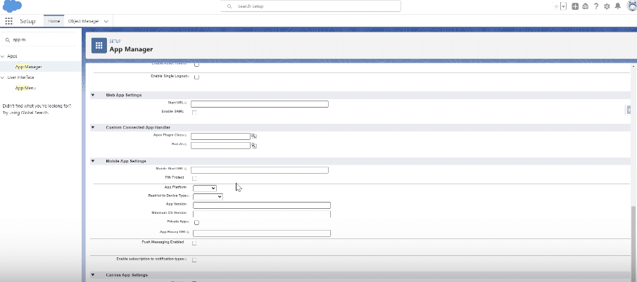Managing Permissions in Salesforce Connected App