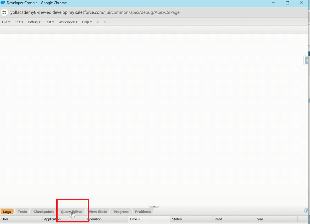 Process of accessing the Salesforce Developer Console