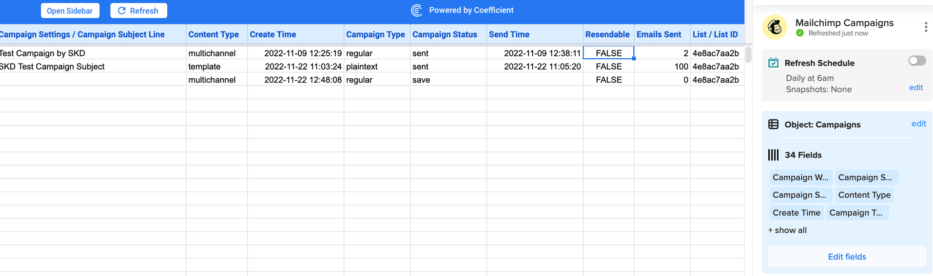 Viewing your Mailchimp Export in Excel