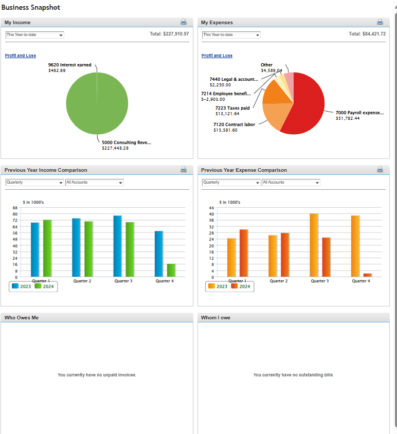 A screenshot showing the business snapshot report.
