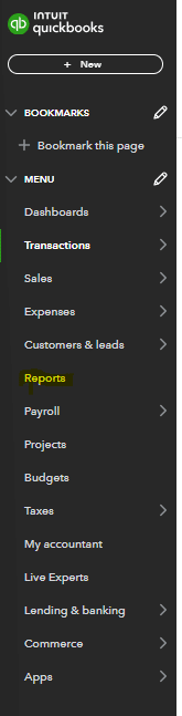 Profit and Loss report customization screen with filters