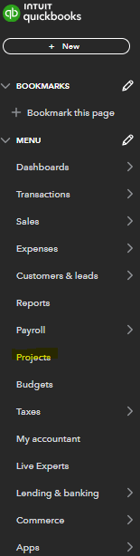 Project setup screen showing customer, email, and date fields